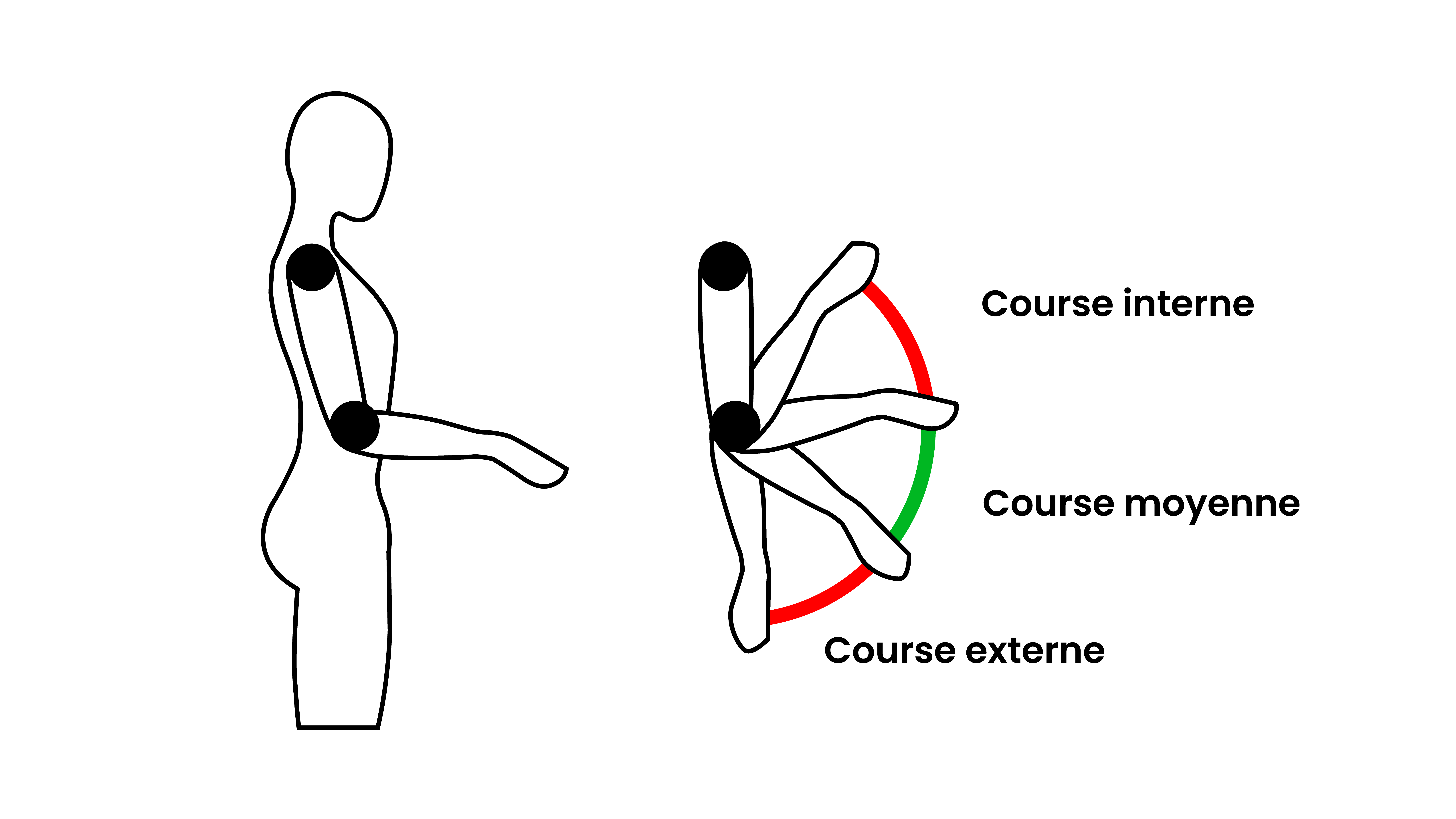 Course articulaire du coude, divisée en 3 secteurs. La course moyenne étant l’amplitude de confort articulaire